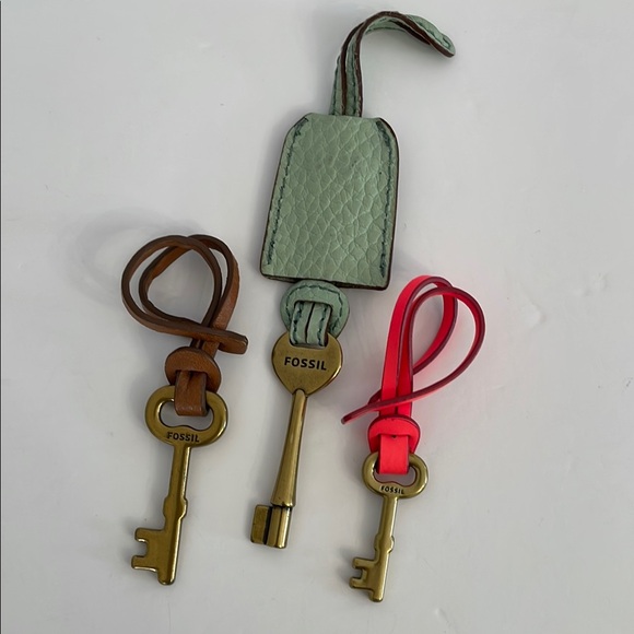 Fossil Skeleton Key Set of 3 Bag Charm Key Fob - Picture 1 of 3